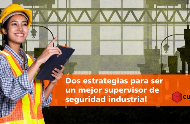 Supervisor de seguridad industrial cubik trainer